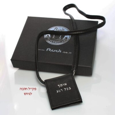 כיסוי דיסקית