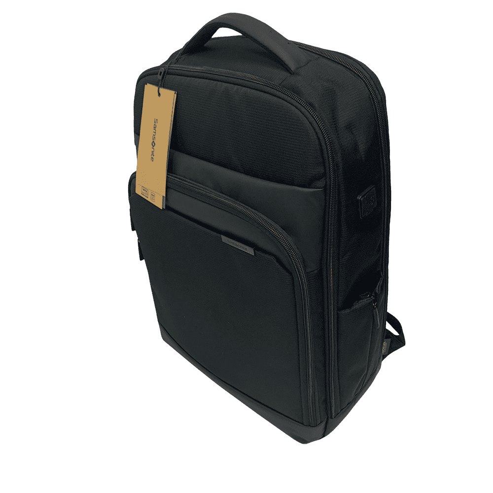 samsonite mysight 17.3