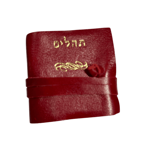 תהילים כיס