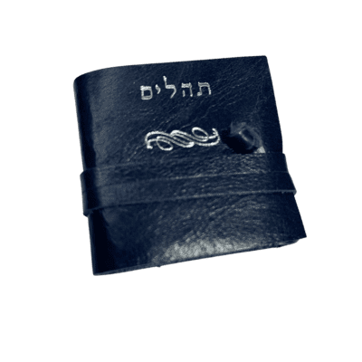 פרקי תהילים
