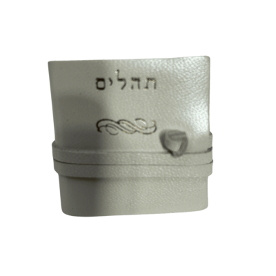 תהילים ליום ראשון