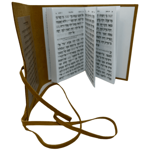 ⁦תהילים עור - ספר תהילים רודי⁩ – תמונה ⁦5⁩