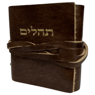 תהילים קטן