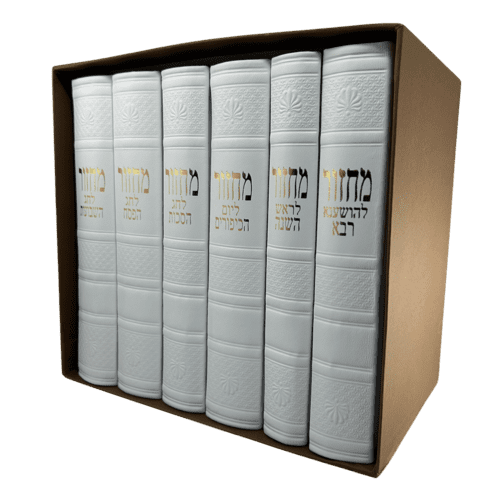 ⁦סט מחזורים מהודר (100% עור) לבן⁩ – תמונה ⁦12⁩