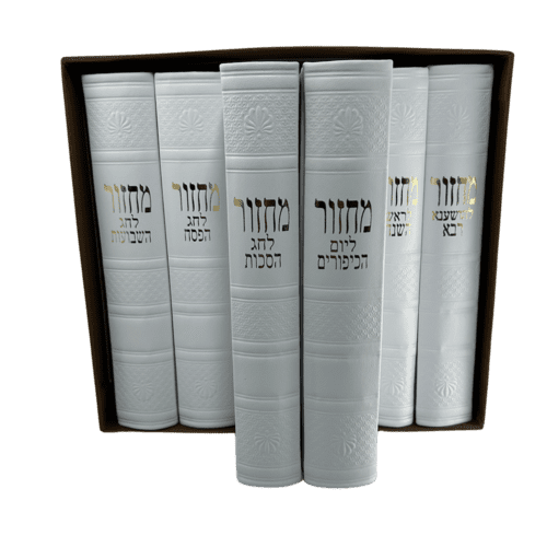 ⁦סט מחזורים מהודר (100% עור) לבן⁩ – תמונה ⁦14⁩