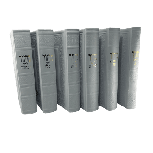 ⁦סט מחזורים מהודר (100% עור) לבן⁩ – תמונה ⁦6⁩
