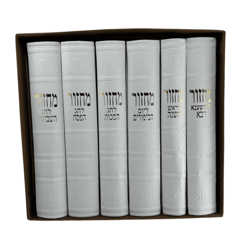 ⁦סט מחזורים מהודר (100% עור) לבן⁩ – תמונה ⁦9⁩
