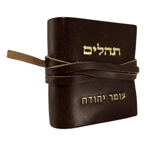 תהילים כיס קטן