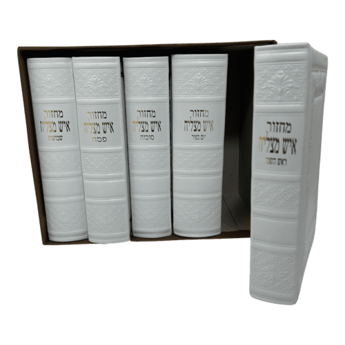 ⁦סט מחזורים עור⁩ – תמונה ⁦6⁩