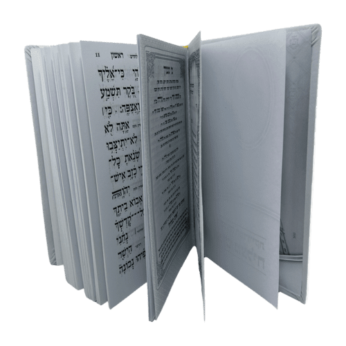 ⁦תהילים גדול איש מצליח (העור הטוב בעולם) רודי⁩ – תמונה ⁦6⁩
