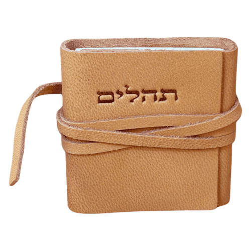 תהילים תהילים עם תמונה