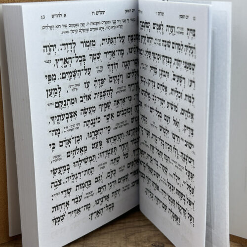 ⁦תהילים יוקרתי גודל בינוני⁩ – תמונה ⁦5⁩