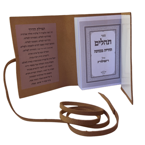 ⁦ספר תהילים מעור⁩ – תמונה ⁦4⁩