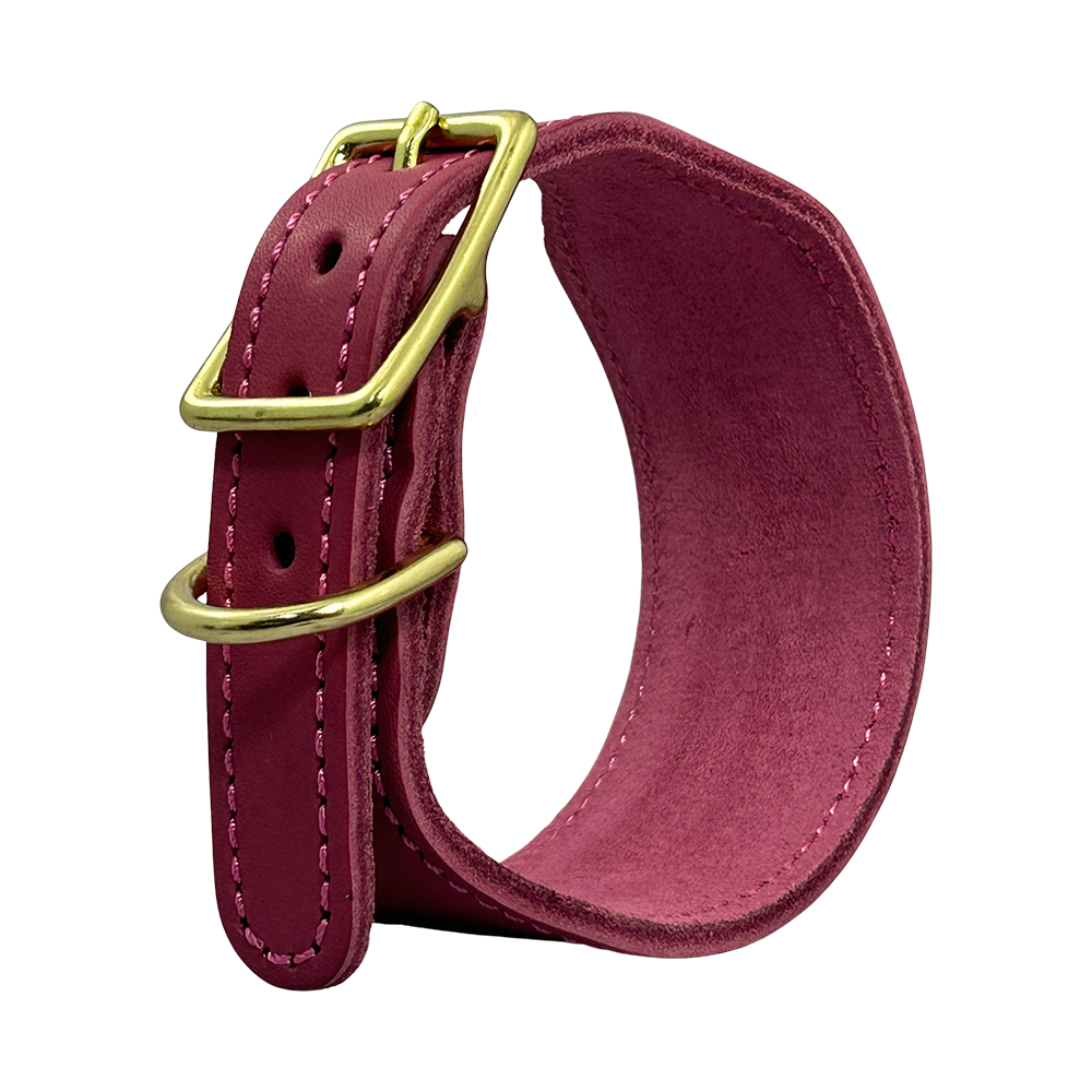 קולר עור איטלקי איכותי לכלב מבט צד
