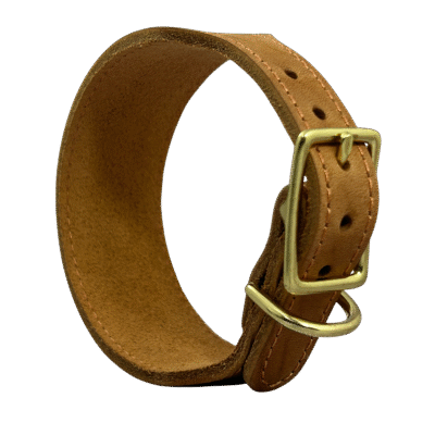 קולר עור יוקרתי לכלב על רקע לבן עם אבזם פליז מוזהב